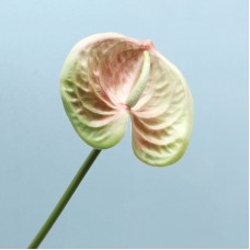 Цветок искусственный 0.05кг Languifang, zak115-LGFH30257-01