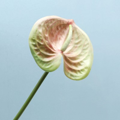 Цветок искусственный 0.05кг Languifang, zak115-LGFH30257-01