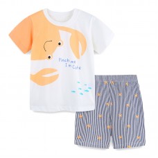 Комплект для мальчика футболка и шорты хлопок 0.2кг Aosta Betty, zak119-2057