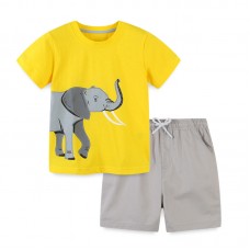Комплект для мальчика футболка и шорты хлопок 0.2кг Aosta Betty, zak119-2108