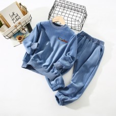 Комплект детский утепленный штаны и толстовка 0.7кг Rase Duck, z174-2340-01
